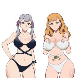 Rule 34 | 2girls, bad tag, bikini, black clover, breasts, cousins, female focus, green eyes, highres, large breasts, looking at viewer, mimosa vermillion, multiple girls, noelle silva, one-piece swimsuit, orange hair, purple eyes, silver hair, swimsuit, thick thighs, thighs, twintails, yoe 7u7