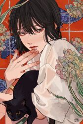 Rule 34 | 1boy, animal, animal print, bandaid, bandaid on knee, bandaid on leg, bishounen, black cat, black hair, cat, closed mouth, fingernails, fish, fish print, from side, grey eyes, hair between eyes, hand up, highres, holding, holding animal, holding cat, kagoya1219, knees up, looking at viewer, looking to the side, male focus, medium hair, original, oversized clothes, oversized shirt, plant, red background, shirt, short sleeves, signature, sitting, solo, t-shirt, tile wall, tiles, white shirt