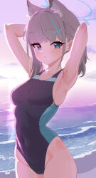 Rule 34 | 1girl, animal ear fluff, animal ears, armpits, arms behind head, beach, black one-piece swimsuit, blue archive, blue eyes, breasts, cloud, commentary request, competition swimsuit, covered navel, cross hair ornament, extra ears, grey hair, hair ornament, halo, highres, katagiri ganma, low ponytail, medium breasts, medium hair, mismatched pupils, multicolored clothes, multicolored swimsuit, official alternate costume, one-piece swimsuit, shiroko (blue archive), shiroko (swimsuit) (blue archive), sky, solo, sunrise, swimsuit, white sky, wolf ears