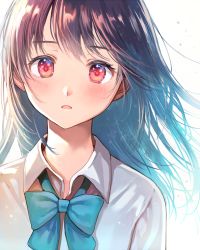 Rule 34 | 1girl, arm at side, blue bow, blue bowtie, blush, bow, bowtie, brown hair, collared shirt, floating hair, long hair, looking at viewer, nishizawa, original, parted lips, red eyes, school uniform, shirt, solo, tareme, upper body, white shirt, wind