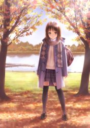 Rule 34 | 1girl, absurdres, argyle, argyle clothes, argyle scarf, arms at sides, autumn, autumn leaves, backpack, bag, black footwear, black thighhighs, blush, brown eyes, brown hair, child, closed mouth, cloud, coat, day, dock, duffel coat, full body, goto p, highres, hood, hooded coat, huge filesize, lake, layered clothes, legs apart, loafers, looking at viewer, open clothes, open coat, original, outdoors, plaid, plaid skirt, pleated skirt, purple coat, scan, scarf, shoes, skirt, sky, sleeves past wrists, smile, solo, standing, thighhighs, water, zettai ryouiki