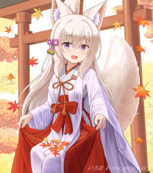 1girl :d animal_ears autumn_leaves commentary_request folded_ponytail fox_ears fox_girl fox_tail hair_between_eyes hakama highres iroha_(iroha_matsurika) japanese_clothes kimono koyoi_(iroha_(iroha_matsurika)) leaf light_brown_hair long_hair long_sleeves looking_at_viewer maple_leaf miko open_mouth original purple_eyes red_hakama sleeves_past_wrists smile solo tail torii twitter_username very_long_hair white_kimono wide_sleeves