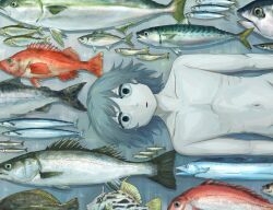 Rule 34 | 1boy, absurdres, anchovy (fish), avogado6, bass (fish), black eyes, blue hair, collarbone, death, eel, fins, fish, fish request, highres, lying, mackerel (fish), male focus, navel, no nipples, nude, on back, original, out-of-frame censoring, pale skin, parted lips, red snapper, sardine, solo, tuna