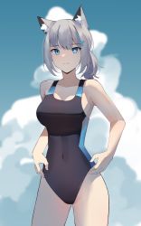 Rule 34 | 1girl, absurdres, animal ear fluff, animal ears, bare arms, bare shoulders, black one-piece swimsuit, blue archive, blue eyes, blue sky, breasts, cleavage, closed mouth, cloud, cloudy sky, collarbone, commentary request, competition swimsuit, covered navel, day, gar32, grey hair, hair ornament, highres, looking at viewer, medium breasts, one-piece swimsuit, outdoors, shiroko (blue archive), shiroko (swimsuit) (blue archive), sky, solo, standing, swimsuit
