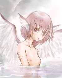 Rule 34 | 1girl, animal ears, blush, breasts, hi-yo, highres, looking at viewer, mystia lorelei, nipples, nude, partially submerged, pink eyes, pink hair, short hair, sketch, small breasts, smile, solo, touhou, wings