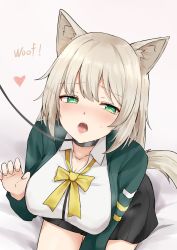 Rule 34 | 1girl, absurdres, animal ears, arknights, black collar, black skirt, blouse, blush, bow, breasts, brown hair, chinese commentary, collar, collarbone, collared shirt, cowboy shot, dog ears, dog girl, dog tail, english text, green eyes, green jacket, grey background, half-closed eyes, hand up, heart, highres, jacket, large breasts, leash, long hair, looking at viewer, mango (mgo), open clothes, open jacket, open mouth, pleated skirt, podenco (arknights), shirt, simple background, sitting, skirt, solo, tail, teeth, upper teeth only, viewer holding leash, white shirt, yellow bow