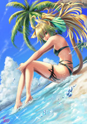 Rule 34 | 1girl, absurdres, ahoge, animal ears, atalanta (fate), bare shoulders, beach, bikini, blonde hair, blush, braid, breasts, cat ears, cat tail, fate/apocrypha, fate/grand order, fate (series), french braid, full body, green eyes, green hair, highres, long hair, looking at viewer, morino fukurou, multicolored hair, outdoors, palm tree, simple background, sitting, small breasts, solo, swimsuit, tail, tree, two-tone hair, wet