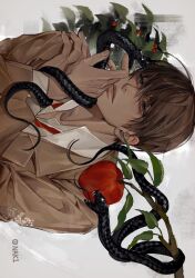 Rule 34 | 1boy, apple, branch, brown hair, brown jacket, closed mouth, collared jacket, collared shirt, death note, expressionless, eyelashes, fingernails, food, fruit, hair between eyes, hand on own chin, hand on own shoulder, hand up, highres, jacket, leaf, loose necktie, male focus, nak1 00, necktie, open clothes, open jacket, red necktie, shirt, short hair, simple background, snake, solo, white background, white shirt, yagami light