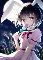 Rule 34 | 1girl, animal ears, arm up, backlighting, bad id, bad pixiv id, black hair, blush, cloud, commentary request, dango, dress, food, full moon, hair between eyes, high collar, highres, holding, holding food, inaba tewi, jewelry, kazunehaka, leaning back, looking at viewer, moon, night, outdoors, pendant, pink dress, puffy short sleeves, puffy sleeves, rabbit ears, red eyes, red neckwear, red ribbon, ribbon, sanshoku dango, short hair, short sleeves, sky, smile, solo, star (sky), starry sky, susuki grass, touhou, tsukimi, twitter username, upper body, wagashi