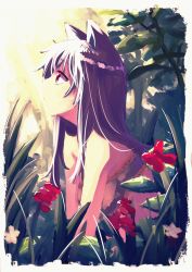 Rule 34 | 1girl, akino sora, animal ears, belt bra, closed mouth, day, flower, from side, grass, highres, long hair, looking up, original, outdoors, profile, purple hair, red eyes, red flower, solo, symbol-only commentary