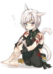 Rule 34 | 1girl, :t, animal ears, arm tattoo, bare shoulders, barefoot, black pants, black shirt, blush, cat ears, cat girl, cat tail, closed mouth, commentary request, final fantasy, final fantasy xiv, full body, green eyes, heterochromia, hugging own legs, midorikawa you, miqo&#039;te, own hands together, pants, pout, purple eyes, shirt, short hair, simple background, sitting, sketch, sleeveless, sleeveless shirt, solo, tail, tattoo, translation request, v-shaped eyebrows, white background, white hair