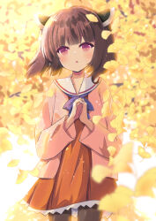 Rule 34 | 1girl, autumn, autumn leaves, blunt bangs, blurry, blurry foreground, blush, brown hair, dress, hair ornament, head tilt, highres, long sleeves, looking at viewer, mitsugushi yuu, own hands clasped, own hands together, pantyhose, parted lips, pink eyes, sailor collar, sailor dress, short hair, solo, touhoku kiritan, voiceroid, wind
