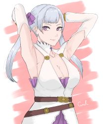 Rule 34 | 1girl, absurdres, armpits, black clover, breasts, female focus, highres, looking at viewer, medium breasts, noelle silva, pink eyes, silver hair, smile, solo, twintails