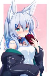 Rule 34 | 1girl, :p, animal ears, bare shoulders, black jacket, blue collar, blue eyes, blue hair, blush, box, breasts, camisole, cleavage, closed mouth, collar, collarbone, drop shadow, fox ears, gift, gift box, hair between eyes, hair ornament, hairclip, hand up, heart, highres, holding, holding gift, hood, hood down, hooded jacket, jacket, long hair, long sleeves, looking at viewer, medium breasts, nose blush, open clothes, open jacket, original, pink background, shirogane kasane, sleeves past wrists, smile, solo, surume aburi, tongue, tongue out, two-tone background, v-shaped eyebrows, white background, white camisole