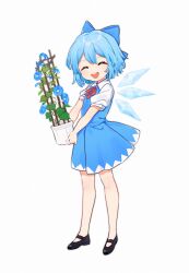 Rule 34 | 1girl, :d, absurdres, aged down, arin (fanfan013), bare legs, black footwear, blue bow, blue dress, blue flower, blue hair, blue wings, bow, cirno, closed eyes, commentary request, detached wings, dress, facing viewer, flat chest, flower, flower pot, full body, hair bow, highres, holding, holding flower pot, leaf, mary janes, morning glory, neck ribbon, open mouth, plant, potted plant, puffy short sleeves, puffy sleeves, red ribbon, ribbon, shoes, short dress, short hair, short sleeves, simple background, smile, solo, standing, teeth, touhou, trellis, upper teeth only, vines, white background, wing collar, wings