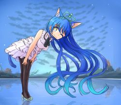 Rule 34 | 1girl, ;), absurdres, animal ears, aqua footwear, artist name, artist request, black legwear, blue hair, blue sky, blush, breasts, brown eyes, cat ears, cat tail, cloud, collared dress, curly hair, day, dress, female focus, fish, full body, hair between eyes, hands on own knees, high heels, highres, leaning forward, long hair, looking at viewer, love live!, love live! school idol project, miniskirt, night, night sky, one eye closed, outdoors, parted lips, plaid, plaid dress, plaid skirt, pleated, pleated dress, pleated skirt, skirt, sky, sleeveless, sleeveless dress, small breasts, smile, solo, sonoda umi, standing, star (sky), tail, tiara, white dress, white skirt, wink, yellow eyes