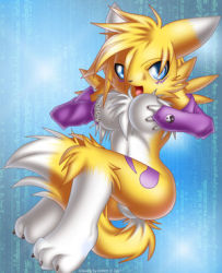 Rule 34 | animal ears, animal hands, barefoot, blue eyes, breasts, digimon, digimon (creature), feet, furry, gloves, lowres, nude, renamon, tail, toes