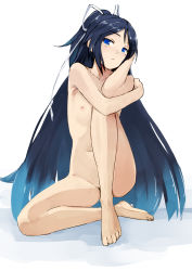 Rule 34 | 10s, 1girl, blue eyes, blue hair, breasts, convenient censoring, convenient leg, feet, flat chest, full body, gradient hair, head tilt, highres, kantai collection, katsuragi (kancolle), long hair, looking at viewer, matching hair/eyes, multicolored hair, navel, nipples, nude, pen (pen3), ponytail, serious, short hair, sitting, sketch, solo, thighs, very long hair