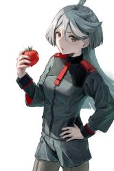 Rule 34 | 1girl, ahoge, breasts, brown eyes, closed mouth, cowboy shot, esubui, food, food on face, green jacket, green shorts, grey hair, grey pantyhose, gundam, gundam suisei no majo, hand on own hip, highres, holding, holding food, jacket, long hair, long sleeves, looking at viewer, miorine rembran, pantyhose, shorts, simple background, small breasts, solo, tomato, white background