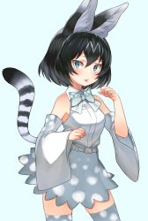 Rule 34 | 10s, 1girl, :p, adapted costume, alternate costume, alternate hair color, animal ears, bad id, bad twitter id, bare shoulders, belt, black hair, blue eyes, blush, bow, bowtie, choir (artist), collared shirt, color switch, commentary request, cowboy shot, detached sleeves, fang, high-waist skirt, highres, kemono friends, multicolored hair, serval (kemono friends), serval print, serval tail, shirt, short hair, skirt, sleeveless, solo, tail, thighhighs, tongue, tongue out, zettai ryouiki