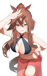 Rule 34 | 1girl, absurdres, animal ears, arknights, arm up, bare arms, bare shoulders, bikini, black bikini, breasts, brown hair, collarbone, commission, cowboy shot, criss-cross halter, green eyes, grin, hair between eyes, halterneck, highres, horse ears, large breasts, long hair, looking at viewer, meteor (arknights), migu (iws2525), navel, pixiv commission, ponytail, sarong, simple background, smile, solo, standing, stomach, swimsuit, tail, white background