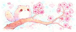 Rule 34 | :3, animal, animal focus, artist name, bisquii, branch, cherry blossoms, chibi, closed mouth, commentary, english commentary, flower, flying squirrel, no humans, original, painting (medium), pink flower, red eyes, squirrel, traditional media, watercolor (medium)