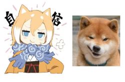 Rule 34 | 1girl, puff of air, animal, animal ears, blonde hair, blue eyes, chinese text, dog, dog ears, hair between eyes, jong tu, looking at viewer, multicolored hair, original, photo-referenced, photo inset, reference inset, reference photo, scarf, shiba inu, short hair, simple background, smirk, smug, solo, translation request, two-tone hair, upper body, white background, white hair