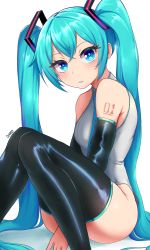 Rule 34 | 1girl, absurdres, blue eyes, blue hair, bottomless, breasts, dako (dakosito), hatsune miku, highres, legs together, long hair, looking at viewer, sitting, solo, thighhighs, vocaloid