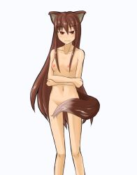 Rule 34 | 1girl, animal ears, breasts, brown hair, holo, long hair, midriff, nipples, nude, red eyes, small breasts, solo, spice and wolf, tail, tsurugi muda, wolf ears, wolf girl, wolf tail
