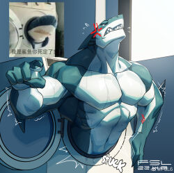 Rule 34 | 1boy, abs, absurdres, anger vein, bara, biceps, clenched teeth, completely nude, english text, flying sweatdrops, frown, fsl6, furry, furry male, highres, ikea, ikea shark, large pectorals, looking to the side, male focus, muscular, muscular male, navel, no nipples, nude, parody, pectorals, pointing, pointing at viewer, reference inset, scales, shark boy, sharp teeth, solo, stomach, stuck, stuffed animal, stuffed shark, stuffed toy, teeth, thick eyebrows, trembling, washing machine, wet
