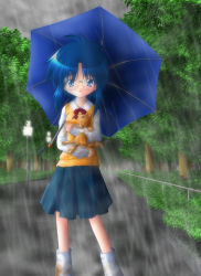 Rule 34 | 00s, 1girl, animal, blue eyes, blue hair, blue skirt, blush, bush, cat, ciel (tsukihime), cloud, cloudy sky, dirty, dirty clothes, glasses, holding, holding animal, holding cat, lamppost, light, long sleeves, looking at viewer, matching hair/eyes, parted lips, plant, railing, rain, school uniform, shirt, skirt, sky, solo, standing, sweater vest, teeth, tree, tsukihime, umbrella, water, white shirt
