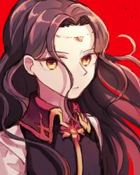 Rule 34 | 1other, androgynous, bad id, bad twitter id, black hair, brown hair, fire emblem, fire emblem: the blazing blade, jewelry, limstella (fire emblem), long hair, looking at viewer, nintendo, other focus, solo, sushitarou, yellow eyes