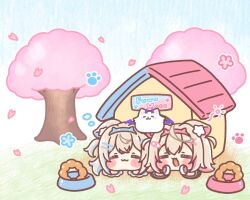 Rule 34 | animal ear fluff, animal ears, blonde hair, blue hair, character name, cherry blossoms, chibi, closed eyes, dog ears, dog girl, doghouse, falling petals, fuwawa abyssgard, fuwawa abyssgard (1st costume), highres, hololive, hololive english, long hair, lying, mitarashi neko, mococo abyssgard, mococo abyssgard (1st costume), multicolored hair, on stomach, perroccino (fuwamoco), petals, pink hair, short hair, streaked hair, tree, two-tone hair, two side up