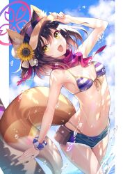 Rule 34 | 1girl, animal ear fluff, animal ears, bikini, bikini under shorts, blue archive, blue sky, breasts, brown hair, cloud, commission, day, denim, denim shorts, flower, fox ears, fox girl, fox tail, front-tie bikini top, front-tie top, hair flower, hair ornament, hirano katsuyuki, izuna (blue archive), izuna (swimsuit) (blue archive), looking at viewer, micro shorts, navel, open mouth, outdoors, red scarf, scarf, scrunchie, shorts, skeb commission, sky, small breasts, smile, solo, stomach, striped bikini, striped clothes, sunlight, swimsuit, tail, thighs, visor cap, water, wrist scrunchie, yellow eyes