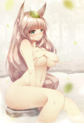 Rule 34 | 1girl, animal ears, bad id, bad pixiv id, blush, breasts, covering privates, covering breasts, fox ears, green eyes, highres, large breasts, leaf, leaf on head, long hair, looking at viewer, navel, nude, object on head, oboro muramasa, onsen, shokuyou mogura, silver hair, sitting, solo, vanillaware, very long hair, wet, yuzuruha
