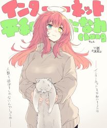 Rule 34 | 1girl, ahoge, animal, blue eyes, breasts, bruise, bruise on face, cat, closed mouth, grey sweater, heterochromia, highres, holding, holding animal, holding cat, injury, large breasts, long sleeves, looking at viewer, nekoume, original, red hair, solo, sweater, tears, upper body, yellow eyes