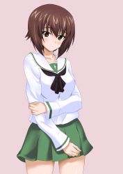 Rule 34 | 1girl, absurdres, alternate costume, arm grab, bad id, bad pixiv id, black neckerchief, blouse, blush, brown eyes, brown hair, closed mouth, commentary request, cowboy shot, flatfield, girls und panzer, green skirt, head, highres, light blush, long sleeves, looking at viewer, miniskirt, neckerchief, nishizumi maho, ooarai school uniform, partial commentary, pink background, pleated skirt, school uniform, serafuku, shirt, short hair, simple background, skirt, smile, solo, standing, white shirt