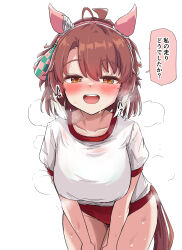 1girl absurdres animal_ears blush breasts brown_eyes brown_hair buruma checkered_ribbon collarbone commentary dantsu_flame_(umamusume) ear_covers gryebooks gym_shirt gym_uniform hair_ribbon heavy_breathing highres horse_ears horse_girl horse_tail large_breasts long_hair looking_at_viewer open_mouth red_buruma ribbon shirt short_hair short_sleeves simple_background smile solo speech_bubble sweat tail teeth thighs translated umamusume upper_teeth_only white_background