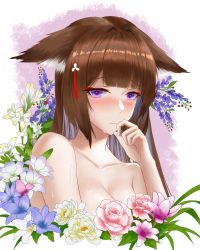 Rule 34 | 1girl, absurdres, amagi (azur lane), animal ears, azur lane, blush, breasts, brown hair, chinese commentary, cleavage, flower, frozen-sad, highres, large breasts, long hair, looking at viewer, pink flower, pink rose, purple eyes, purple flower, rose, simple background, solo, sweat, upper body, white background, white flower