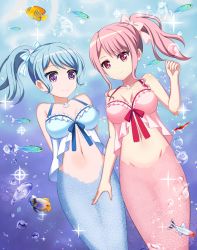 Rule 34 | 2girls, angelfish, aqua hair, arms behind back, bang dream!, bow, breasts, clam shell, cleavage, collarbone, commentary request, fish, hair bow, hair ribbon, highres, jewelry, long hair, looking at viewer, maruyama aya, matsubara kanon, mermaid, monster girl, monsterification, multiple girls, navel, necklace, ocean, pearl necklace, pink eyes, pink hair, purple eyes, ribbon, scales, shira yu ki, side ponytail, sidelocks, simple background, sleeveless, smile, spaghetti strap, stomach, underwater