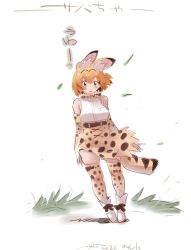 Rule 34 | 1girl, animal ear fluff, animal ears, blonde hair, bow, bowtie, cat ears, cat girl, cat tail, elbow gloves, gloves, kemono friends, looking at viewer, nyororiso (muyaa), orange bow, serval (kemono friends), serval print, shirt, short hair, skirt, smile, solo, tail