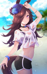 Rule 34 | 1girl, :&gt;, animal ears, arm up, black choker, black shorts, bloody0rabby, blue flower, blue hat, blue rose, blurry, blurry background, blush, breasts, brown hair, choker, closed mouth, collarbone, commentary, crop top, day, depth of field, flower, groin, hair over one eye, hat, hat flower, highres, horse ears, horse girl, horse tail, long hair, looking at viewer, midriff, outdoors, purple eyes, rice shower (umamusume), rose, see-through, shirt, short shorts, short sleeves, shorts, small breasts, smile, solo, tail, tilted headwear, umamusume, white shirt