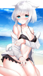 Rule 34 | ..., 1girl, absurdres, animal ear fluff, animal ears, aqua eyes, bare shoulders, beach, bikini, black bikini, blue eyes, blue sky, blush, breasts, cat ears, cat girl, cat tail, cleavage, cloud, collarbone, commentary request, day, eyelashes, flying sweatdrops, frilled bikini, frills, groin, hair between eyes, highres, hood, hood down, horizon, jacket, long sleeves, looking at viewer, medium breasts, navel, neku (neku draw), o-ring, o-ring bikini, o-ring top, ocean, off shoulder, open clothes, open jacket, open mouth, original, outdoors, parted lips, sand, short hair, sidelocks, sitting, sky, solo, speech bubble, spoken ellipsis, stomach, swimsuit, tail, tail raised, translation request, wariza, water, white hair, white jacket