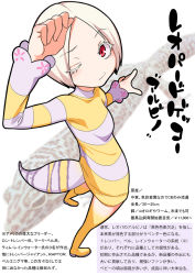 Rule 34 | 1girl, animal, arm up, character profile, colored eyelashes, eyelashes, from above, gecko, gujira, long sleeves, looking back, one eye closed, original, personification, red eyes, scales, short hair, simple background, solo, standing, striped, tail, thighhighs, translation request, white background, white hair, zettai ryouiki