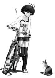 Rule 34 | 1girl, bicycle, bow, camisole, cat, greyscale, idolmaster, idolmaster (classic), kikuchi makoto, legs, monochrome, nekopuchi, shoes, shorts, sneakers, solo, thighhighs