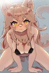 Rule 34 | 1girl, all fours, animal ear fluff, animal ears, bikini, black bikini, breasts, brown eyes, brown hair, cat ears, cat girl, cat tail, cleavage, eyebrows, foreshortening, furry, furry female, grey background, highres, long hair, looking at viewer, onikuman, original, simple background, solo, swimsuit, tail, thighs