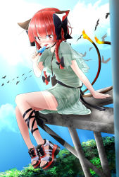 Rule 34 | absurdres, adapted costume, alternate footwear, animal ears, bag, bird, bow, braid, cat ears, cloud, day, dress, food, hair bow, handbag, highres, kaenbyou rin, lens flare, licking, mirudona, multicolored footwear, multiple tails, on railing, platform footwear, popsicle, railing, red eyes, red hair, sandals, short hair, short sleeves, sitting, solo, sweat, tail, touhou, tree, twin braids, two tails