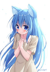 Rule 34 | 1girl, animal ear fluff, animal ears, bad id, bad pixiv id, blue eyes, blue hair, blush, brown dress, cat ears, closed mouth, collarbone, commentary request, dress, hair between eyes, hands up, hoshino kagari, long hair, original, own hands together, short sleeves, simple background, solo, torn clothes, torn dress, twitter username, very long hair, white background
