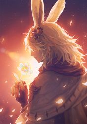 Rule 34 | 1other, ambiguous gender, animal ears, backlighting, black gloves, covered eyes, final fantasy, final fantasy xiv, fingerless gloves, flower, from side, gloves, glowing, glowing petals, hair flower, hair ornament, hand up, holding, holding flower, lens flare, lofi (ff14 pl), long hair, orange background, parted lips, petals, rabbit ears, red scarf, scarf, silver hair, sky, star (sky), starry sky, upper body, viera, warrior of light (ff14)