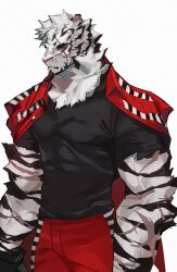 Rule 34 | 1boy, animal ears, arknights, bara, black shirt, facial hair, feet out of frame, furry, furry male, goatee, hagrang, highres, jacket, jacket over shoulder, unworn jacket, large pectorals, male focus, mountain (arknights), muscular, muscular male, pectorals, scar, scar across eye, scar on arm, shirt, short hair, sideways glance, solo, thick eyebrows, tiger boy, tiger ears, white hair